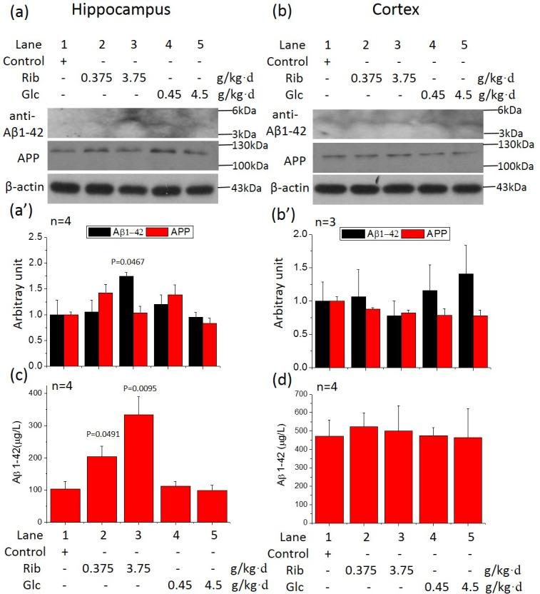 https://cdn.ncbi.nlm.nih.gov/pmc/blobs/e209/4741441/c43ef2200a96/oncotarget-06-34128-g005.jpg