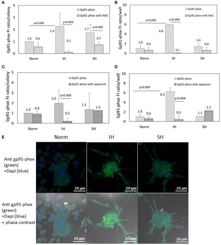 https://cdn.ncbi.nlm.nih.gov/pmc/blobs/e20e/6010519/7de07462988f/fneur-09-00447-g0006.jpg