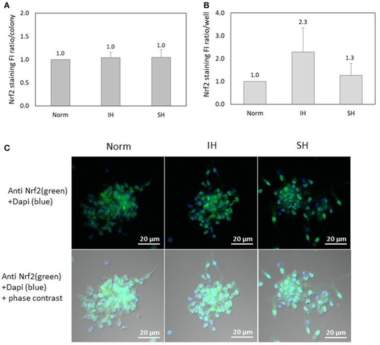 https://cdn.ncbi.nlm.nih.gov/pmc/blobs/e20e/6010519/a7b38b1f166a/fneur-09-00447-g0008.jpg