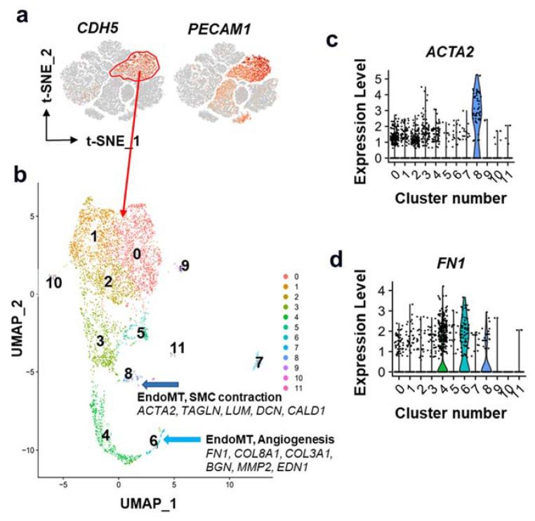 https://cdn.ncbi.nlm.nih.gov/pmc/blobs/e20e/9563961/e0c208acd9cc/cells-11-02946-g002.jpg