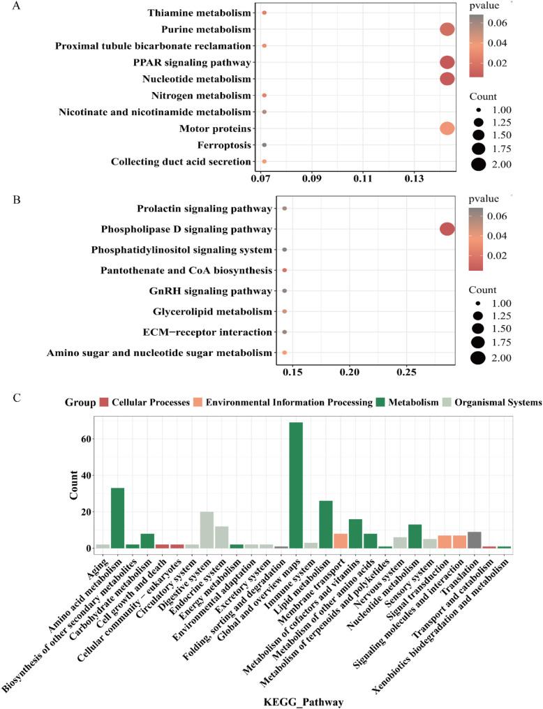 https://cdn.ncbi.nlm.nih.gov/pmc/blobs/e210/12063299/9cbf4b3f2506/12864_2025_11618_Fig4_HTML.jpg