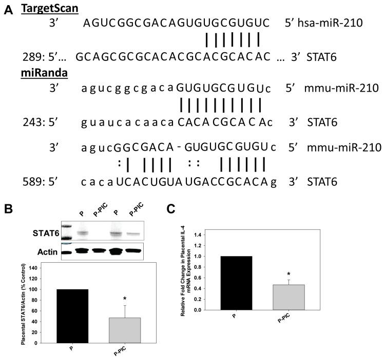 https://cdn.ncbi.nlm.nih.gov/pmc/blobs/e210/3699491/61bae5fb1624/pone.0067760.g002.jpg