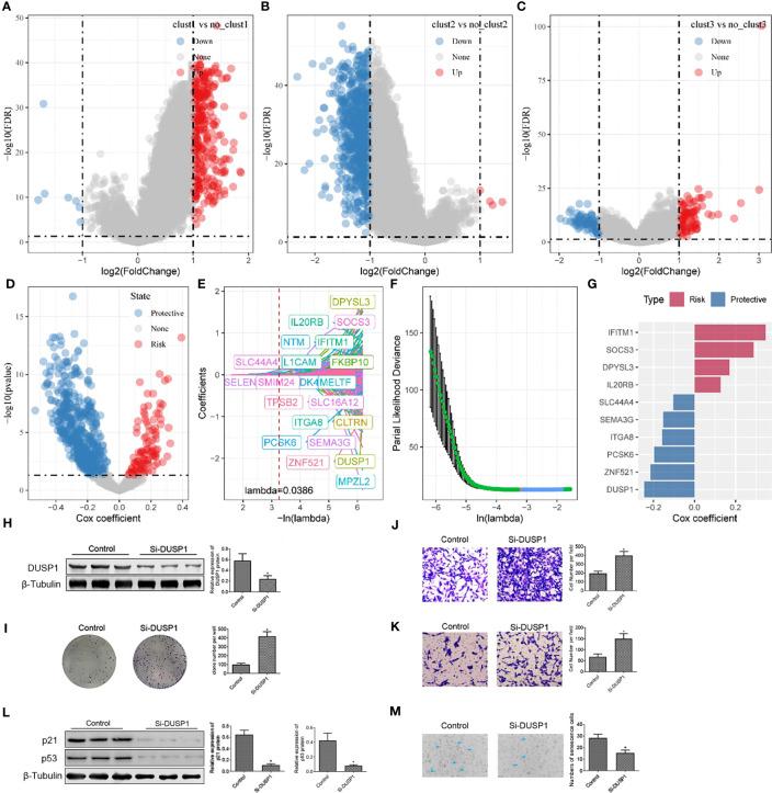 https://cdn.ncbi.nlm.nih.gov/pmc/blobs/e211/10370498/4cd242dcba58/fimmu-14-1199002-g008.jpg