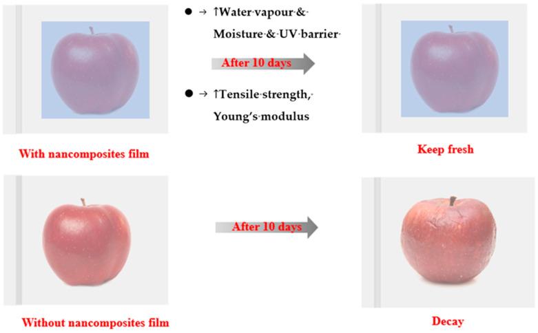 https://cdn.ncbi.nlm.nih.gov/pmc/blobs/e211/11241462/c6d6553cbc3b/foods-13-02014-g001.jpg