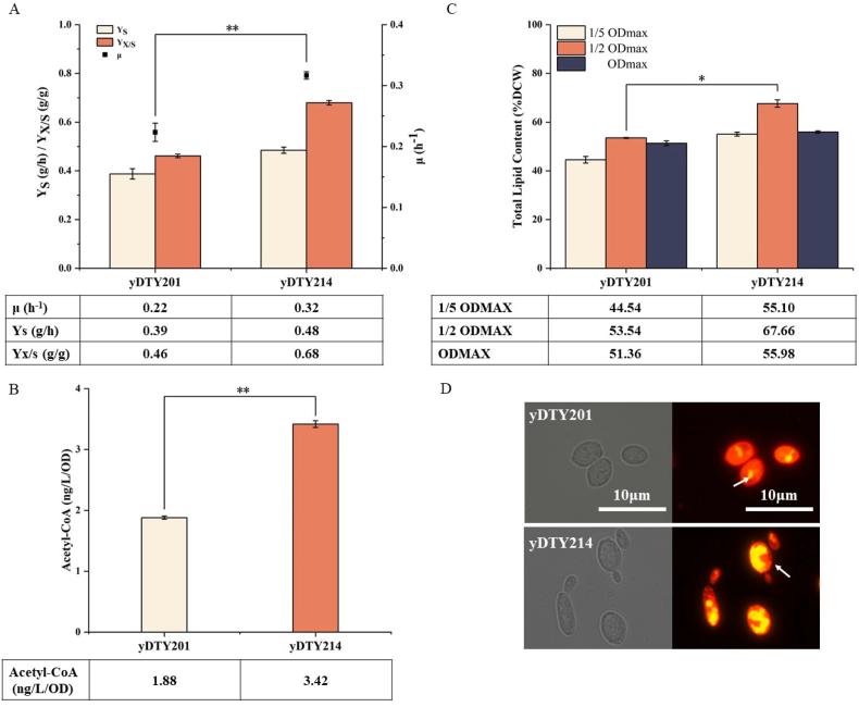https://cdn.ncbi.nlm.nih.gov/pmc/blobs/e212/11850648/532609050de2/gr5.jpg