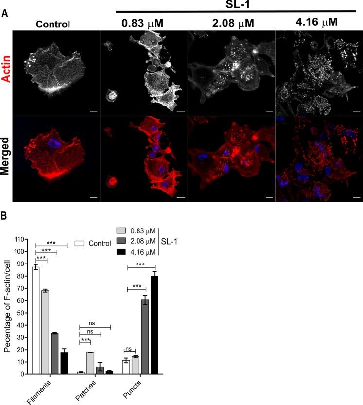 https://cdn.ncbi.nlm.nih.gov/pmc/blobs/e214/6731295/66f6dd8fa641/41598_2019_49343_Fig5_HTML.jpg