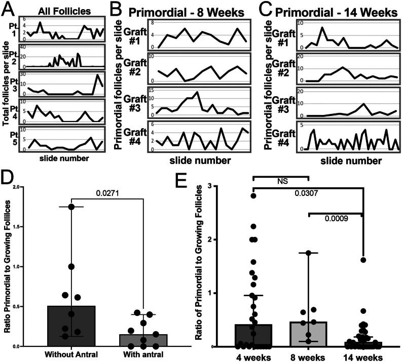 https://cdn.ncbi.nlm.nih.gov/pmc/blobs/e215/9782463/245e5b78f06b/REP-22-0114fig3.jpg