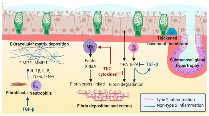 https://cdn.ncbi.nlm.nih.gov/pmc/blobs/e216/7831322/ec4569c3aa42/ijms-22-00910-g002.jpg