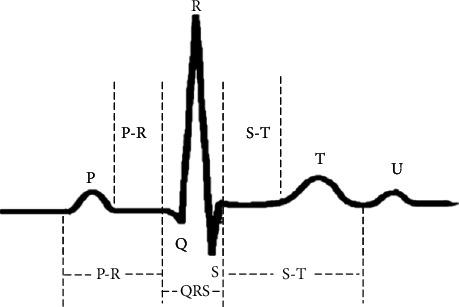 https://cdn.ncbi.nlm.nih.gov/pmc/blobs/e217/8110414/754f6aec7622/CMMM2021-6649970.001.jpg
