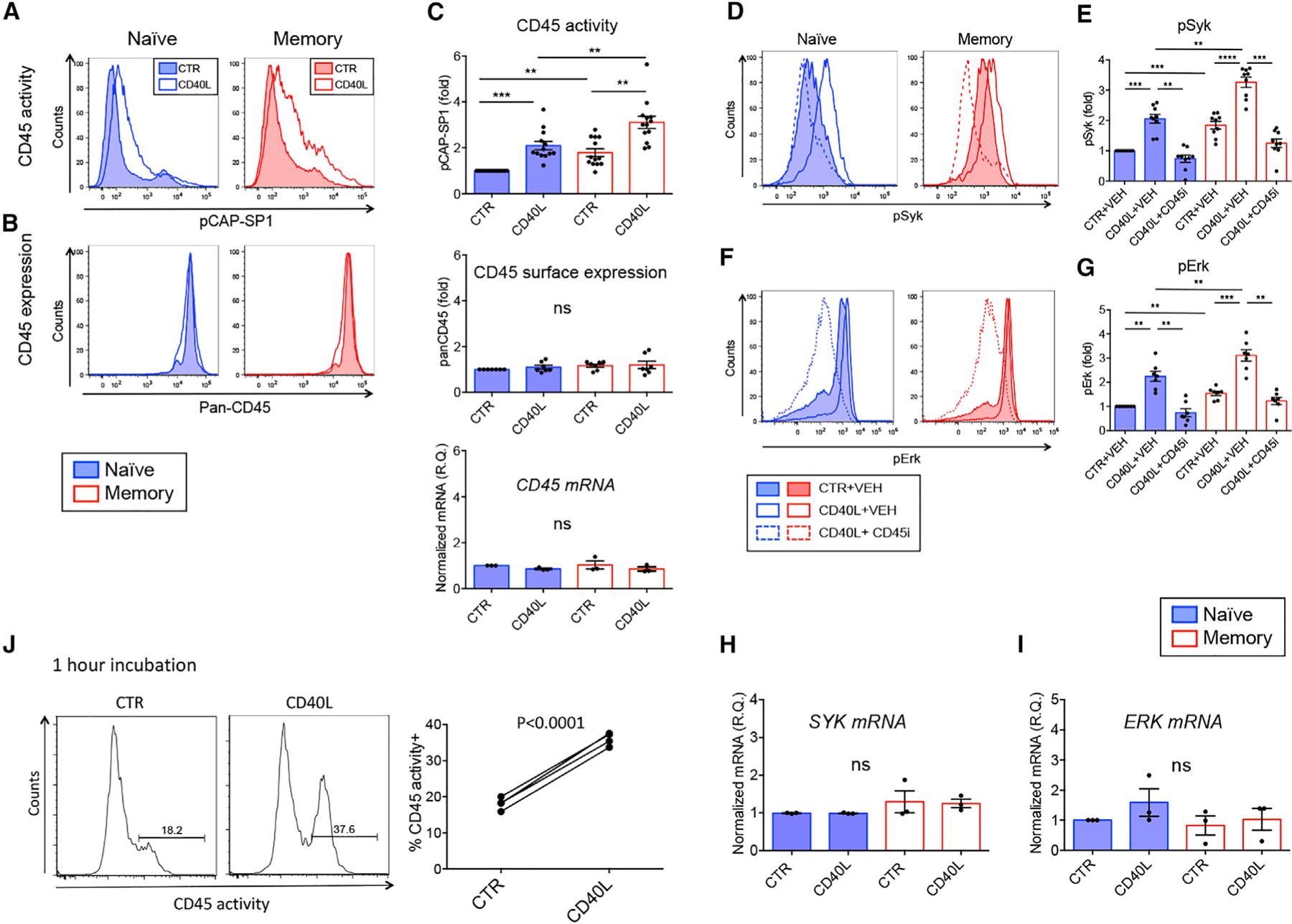 https://cdn.ncbi.nlm.nih.gov/pmc/blobs/e217/8435664/0cac8cc781df/nihms-1732338-f0003.jpg