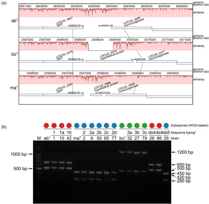 https://cdn.ncbi.nlm.nih.gov/pmc/blobs/e21b/7910664/0b0323433889/gr2.jpg