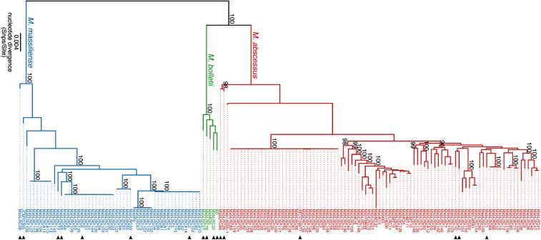 https://cdn.ncbi.nlm.nih.gov/pmc/blobs/e21b/7910664/ade65891855c/gr1.jpg