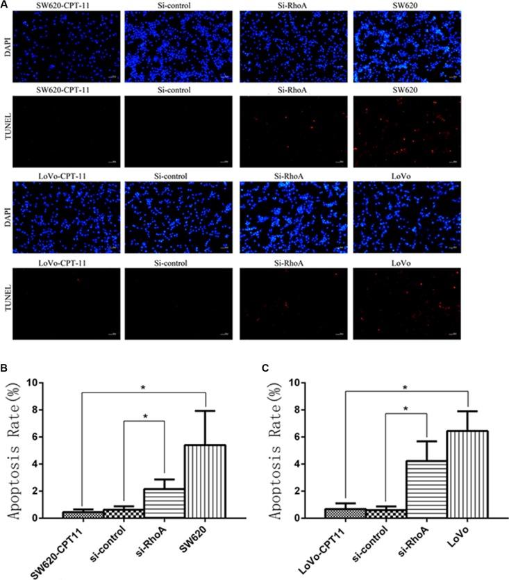 https://cdn.ncbi.nlm.nih.gov/pmc/blobs/e21d/5349977/0dd897d431f0/oncotarget-07-87136-g004.jpg