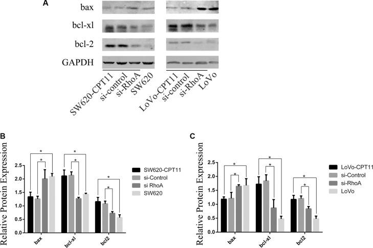 https://cdn.ncbi.nlm.nih.gov/pmc/blobs/e21d/5349977/9aece535531f/oncotarget-07-87136-g005.jpg