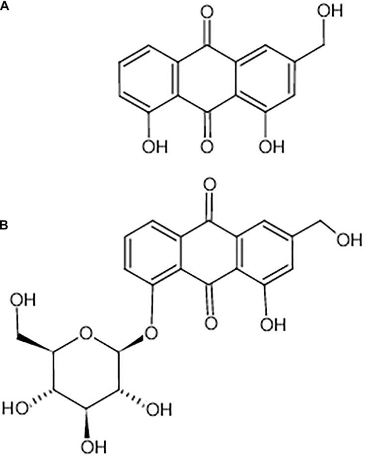 https://cdn.ncbi.nlm.nih.gov/pmc/blobs/e21e/8415635/253840e43d36/fmicb-12-621866-g001.jpg