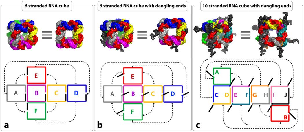 https://cdn.ncbi.nlm.nih.gov/pmc/blobs/e21f/2934861/e7afa0783e0d/nihms220914f1.jpg
