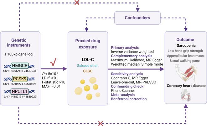 https://cdn.ncbi.nlm.nih.gov/pmc/blobs/e221/11223278/b43d930ad9c1/40246_2024_643_Fig1_HTML.jpg