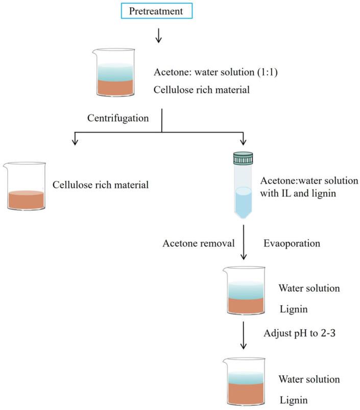 https://cdn.ncbi.nlm.nih.gov/pmc/blobs/e221/12196028/0e52fa80925e/molecules-30-02514-g002.jpg