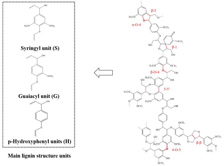 https://cdn.ncbi.nlm.nih.gov/pmc/blobs/e221/12196028/7065e84fb7a9/molecules-30-02514-g001.jpg