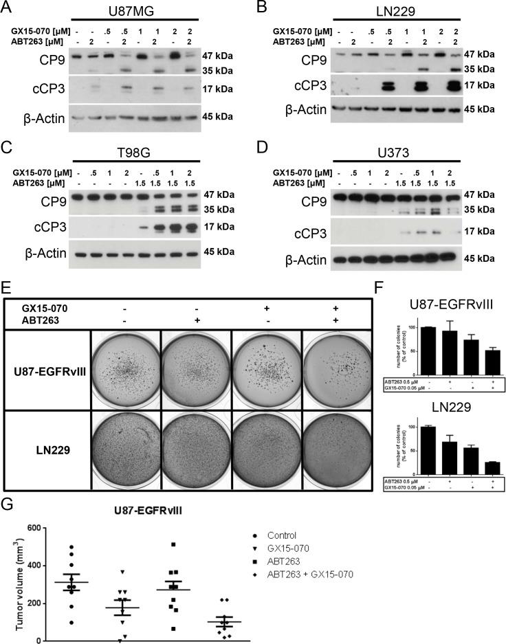 https://cdn.ncbi.nlm.nih.gov/pmc/blobs/e222/4546483/615ba6b24953/oncotarget-06-14507-g003.jpg