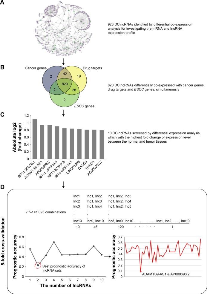https://cdn.ncbi.nlm.nih.gov/pmc/blobs/e224/5488755/456eb8cd0204/ott-10-3095Fig3.jpg