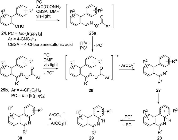 https://cdn.ncbi.nlm.nih.gov/pmc/blobs/e225/6273297/d2bae1b0d96b/molecules-21-00063-g010.jpg