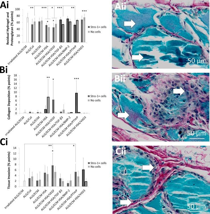 https://cdn.ncbi.nlm.nih.gov/pmc/blobs/e226/4684226/65f5e7cdb942/pone.0145080.g003.jpg