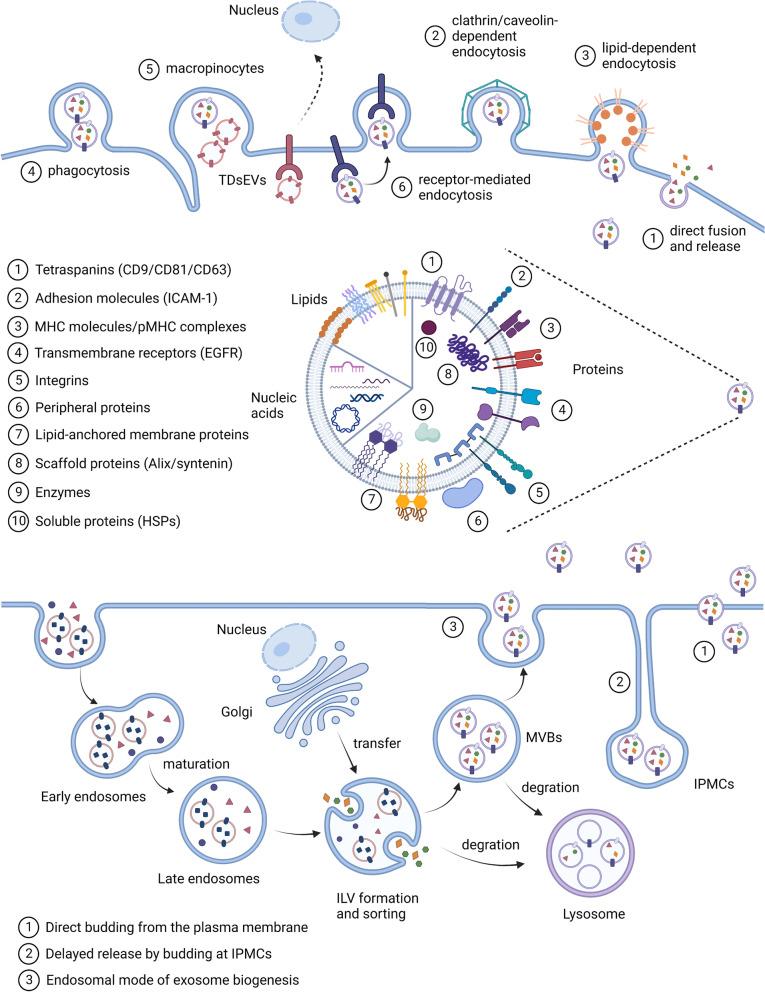 https://cdn.ncbi.nlm.nih.gov/pmc/blobs/e226/9513874/a347de42e1ee/13046_2022_2492_Fig1_HTML.jpg