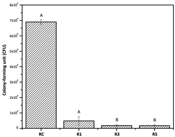 https://cdn.ncbi.nlm.nih.gov/pmc/blobs/e227/10943688/d1d3a6c5acc9/jced-16-e151-g005.jpg
