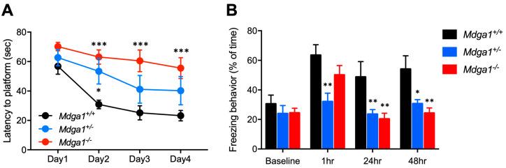https://cdn.ncbi.nlm.nih.gov/pmc/blobs/e227/11394992/64a92b94bf09/ijms-25-09674-g001.jpg