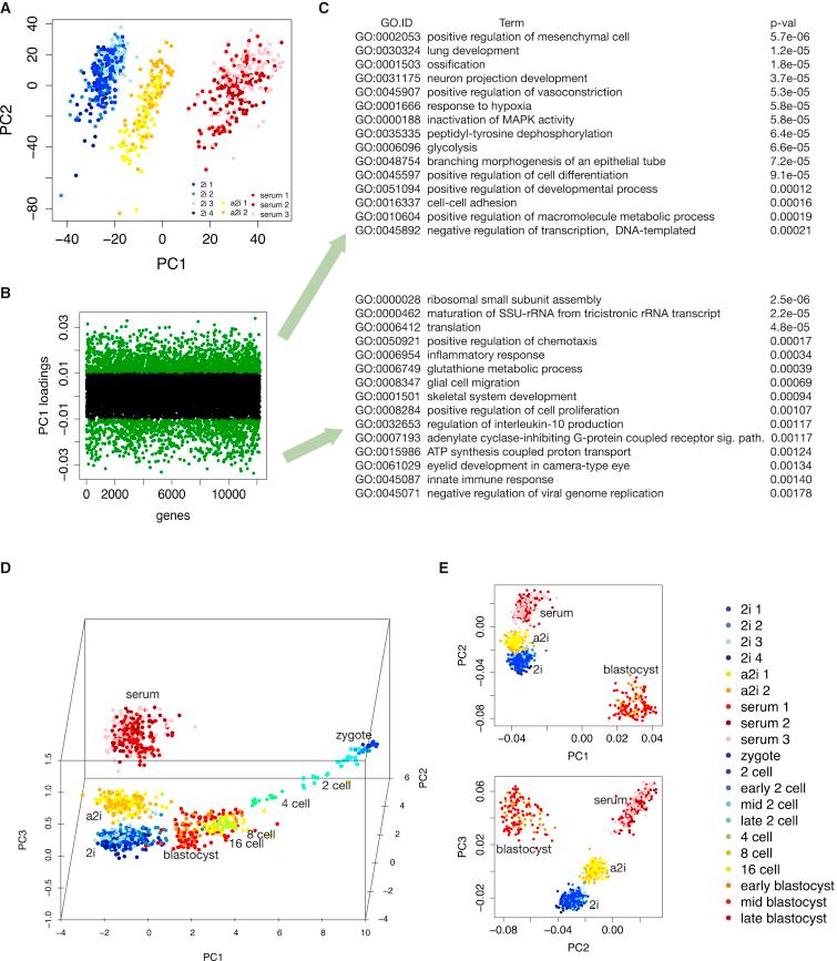 https://cdn.ncbi.nlm.nih.gov/pmc/blobs/e227/4595712/24e9f4294d27/gr4.jpg