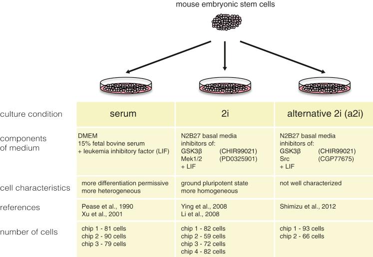 https://cdn.ncbi.nlm.nih.gov/pmc/blobs/e227/4595712/de0bf2da1276/gr1.jpg