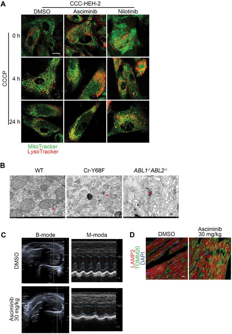 https://cdn.ncbi.nlm.nih.gov/pmc/blobs/e228/12087662/3dfb2a0082c7/KAUP_A_2448913_F0008_C.jpg