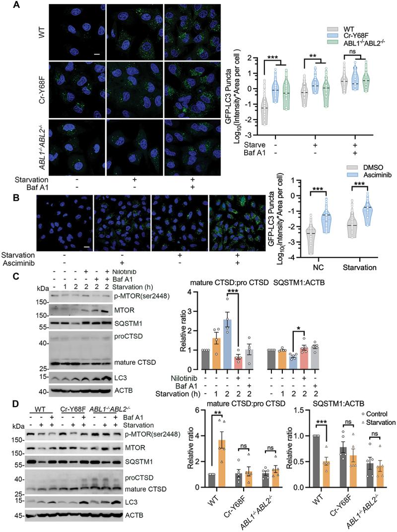 https://cdn.ncbi.nlm.nih.gov/pmc/blobs/e228/12087662/c8639989078e/KAUP_A_2448913_F0006_C.jpg