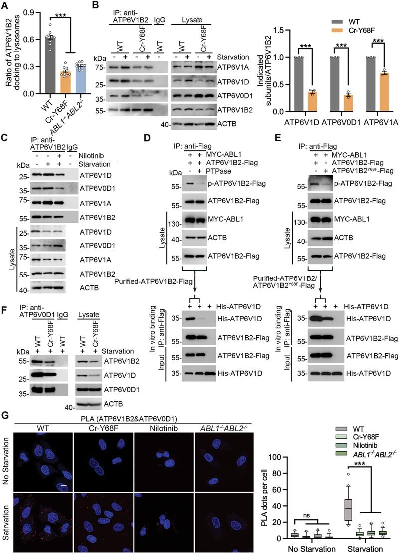 https://cdn.ncbi.nlm.nih.gov/pmc/blobs/e228/12087662/d44914ecd742/KAUP_A_2448913_F0004_C.jpg