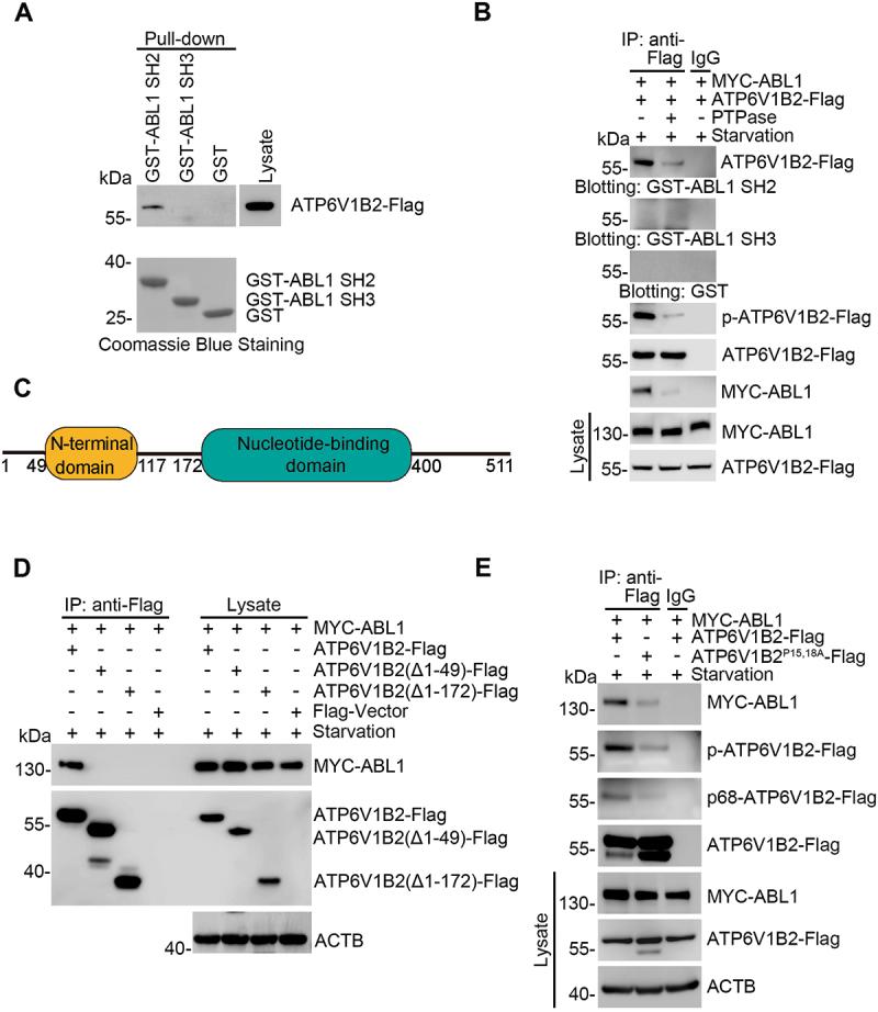 https://cdn.ncbi.nlm.nih.gov/pmc/blobs/e228/12087662/ec3526de5183/KAUP_A_2448913_F0002_C.jpg