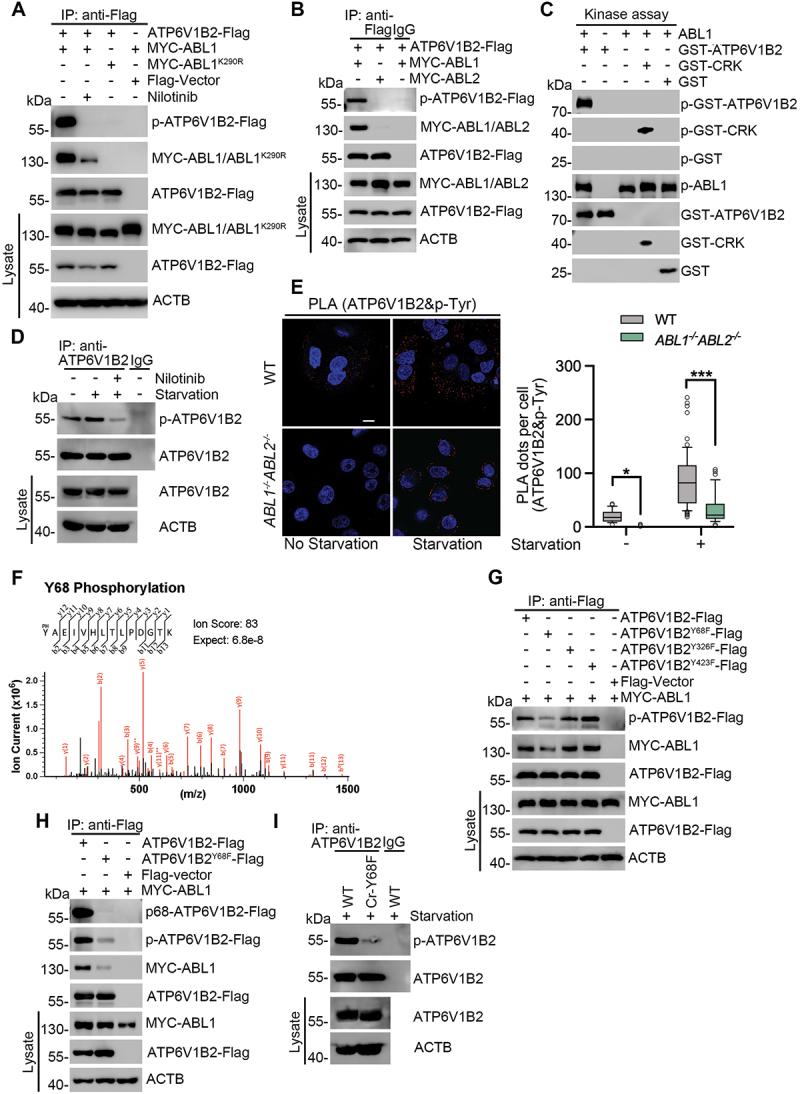 https://cdn.ncbi.nlm.nih.gov/pmc/blobs/e228/12087662/fa2a91ed1b0c/KAUP_A_2448913_F0003_C.jpg