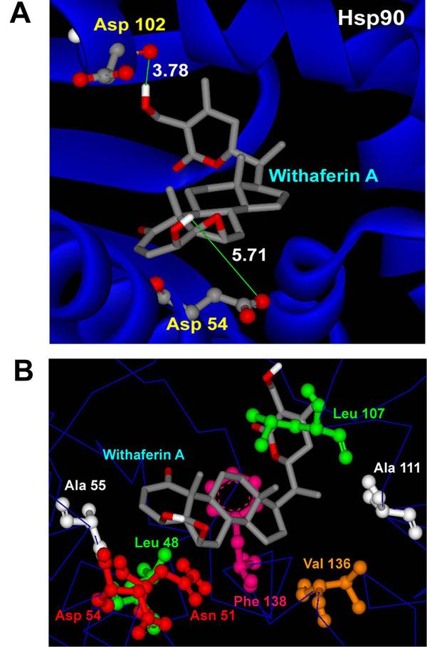 https://cdn.ncbi.nlm.nih.gov/pmc/blobs/e228/3044286/5b38cf1ec260/1471-2105-12-S1-S30-3.jpg
