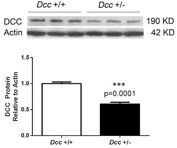 https://cdn.ncbi.nlm.nih.gov/pmc/blobs/e228/4038717/3e0580a19661/12864_2013_6072_Fig3_HTML.jpg
