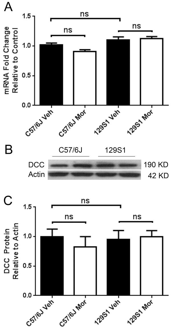 https://cdn.ncbi.nlm.nih.gov/pmc/blobs/e228/4038717/403bd20ffae8/12864_2013_6072_Fig6_HTML.jpg