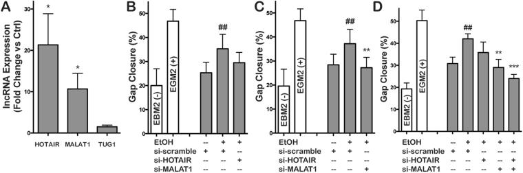https://cdn.ncbi.nlm.nih.gov/pmc/blobs/e228/5653762/a1bd89256577/41598_2017_14356_Fig6_HTML.jpg
