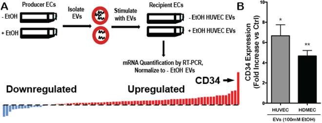 https://cdn.ncbi.nlm.nih.gov/pmc/blobs/e228/5653762/bd7c3b9eb291/41598_2017_14356_Fig3_HTML.jpg
