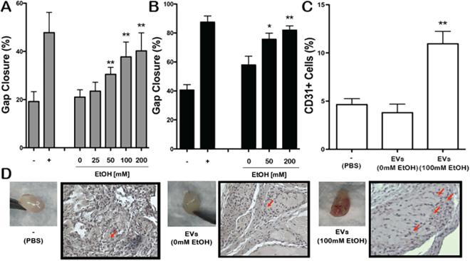 https://cdn.ncbi.nlm.nih.gov/pmc/blobs/e228/5653762/e8b375cfec74/41598_2017_14356_Fig2_HTML.jpg