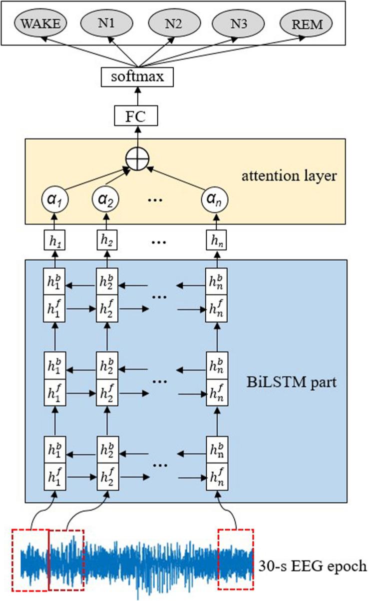 https://cdn.ncbi.nlm.nih.gov/pmc/blobs/e22a/7965953/73ceeec213fe/fphys-12-628502-g001.jpg