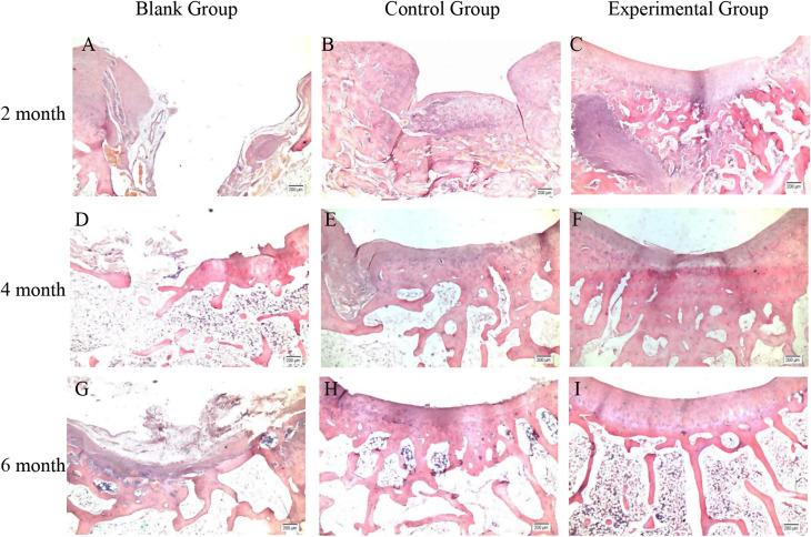 https://cdn.ncbi.nlm.nih.gov/pmc/blobs/e22d/11613844/1d86710b7010/13018_2024_5323_Fig5_HTML.jpg