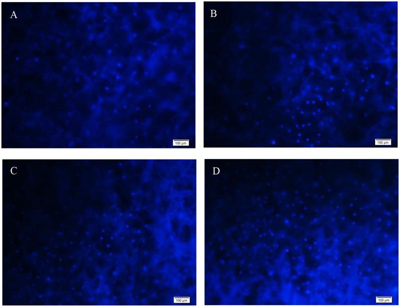 https://cdn.ncbi.nlm.nih.gov/pmc/blobs/e22d/11613844/7cf575d5914b/13018_2024_5323_Fig2_HTML.jpg