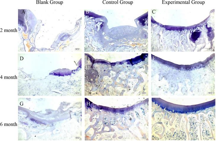 https://cdn.ncbi.nlm.nih.gov/pmc/blobs/e22d/11613844/8b3277cae6ae/13018_2024_5323_Fig6_HTML.jpg
