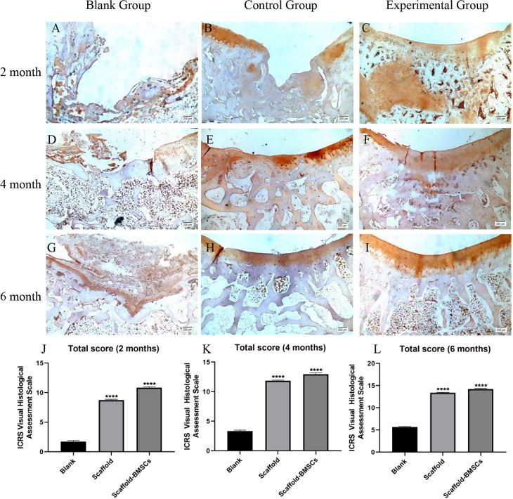 https://cdn.ncbi.nlm.nih.gov/pmc/blobs/e22d/11613844/91a17105e4e1/13018_2024_5323_Fig7_HTML.jpg