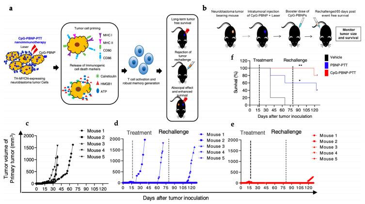 https://cdn.ncbi.nlm.nih.gov/pmc/blobs/e22e/10053741/94a8305eb1e9/polymers-15-01490-g008.jpg