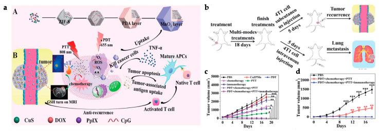 https://cdn.ncbi.nlm.nih.gov/pmc/blobs/e22e/10053741/986ca12104dc/polymers-15-01490-g009.jpg